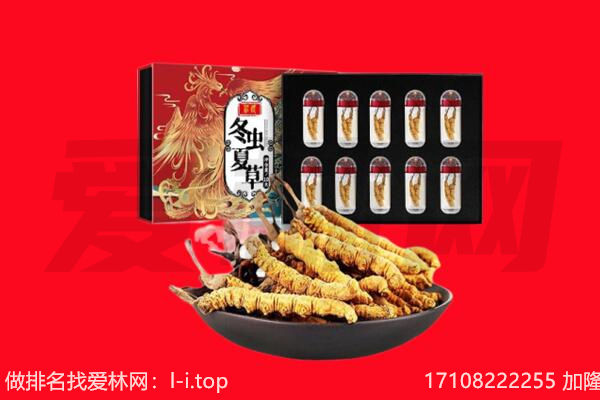 杨陵区回收虫草.jpg